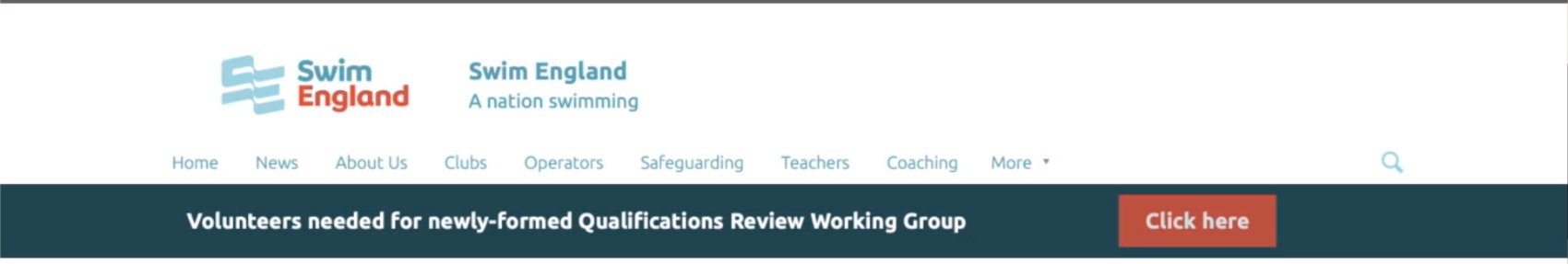 Figure 5: the volunteer recruitment banner for the Qualifications Review Working Group, later removed.